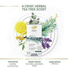 Dove Care by Plants Deodorant Stick for long-lasting deodorant protection Tea Tree aluminum free deodorant 2.6 oz 3 Count