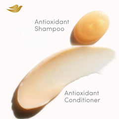 Dove Damage Therapy Conditioner 1 ct UV Repair & Glow Repairs 99% of UV hair damage* with Ferulic Serum 12 oz