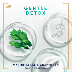 Dove Prebiotic Boost Hand Wash Gentle Detox 4 Count for Lasting Softness, with Marine Algae & Adaptogen, 12 oz