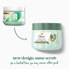 Dove Limited Edition Body Scrub Palo Santo & Sage Oil For Exfoliated & Hydrated skin 15 OZ
