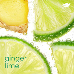 Dove Deodorant Stick Ginger Lime for 72 Hour Odor Protection Aluminum Free 2.4 oz