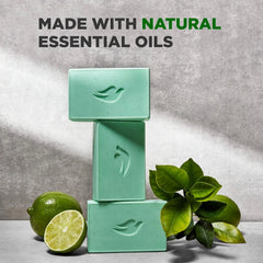 DOVE MEN + CARE Plant-Powered Natural Essential Oil Bar Soap Reinvigorating Lime + Avocado Oil to Clean and Hydrate Mens Skin 4-in-1 Bar Soap for Men's Body, Hair, Face and Shave. 5 oz, 4 Count